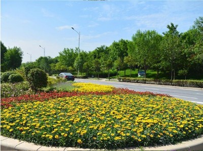沈陽(yáng)沈北新區(qū)園林綠化養(yǎng)護(hù)與花卉樹(shù)木種植費(fèi)用解析
